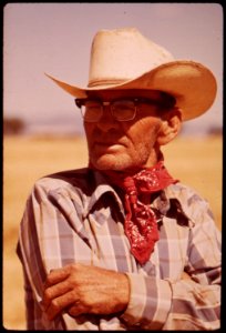 Owner-harlar-prine-looking-over-his-wheat-field-on-the-edge-of-the-colorado-river-in-the-palo-verde-valley-may-1972 7136320381 o