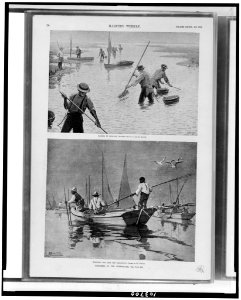Oystering on the Chesapeake LCCN91739928