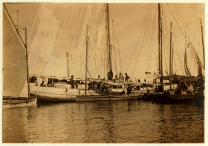 Oyster boats loading the barge. The Reef. LOC nclc.00809
