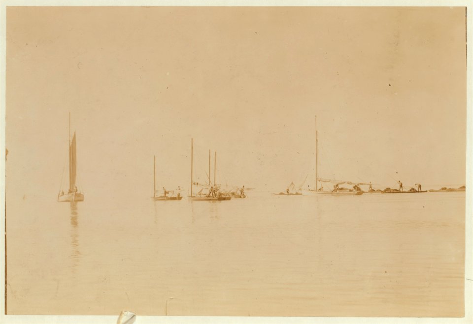 Oyster fleet fishing on the reefs,. LOC nclc.00806