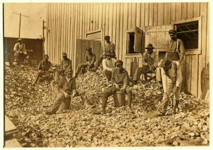 Oyster shuckers at Apalachicola, Fla. This work is carried on by many young boys during busy seasons. This is a dull year so only a few youngsters were in evidence. LOC nclc.05405