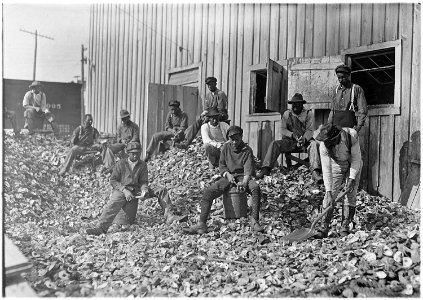Oyster shuckers at Apalachicola, Fla. This work is carried on by many young boys during the busy seasons. This is a... - NARA - 523162