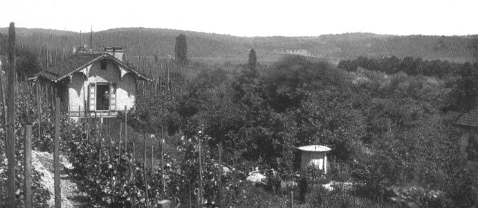 P Sinner - Autenriethscher Garten, östlicher Teil 1868 (TSiW111B)