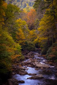 Autumn woods river photo