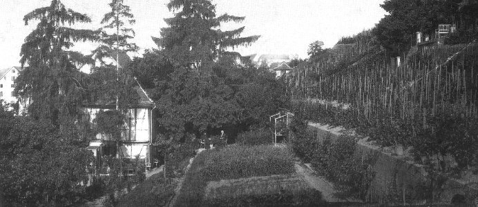 P Sinner - Autenriethscher Garten, westlicher Teil 1868 (TSiW111A)