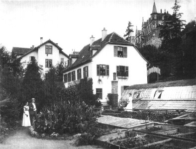 P Sinner - Gärtnerei Adolf Wolff, Gartenstraße 26, um 1896 (TSiW113)
