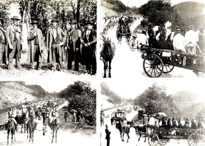 P Sinner - Volkstrachtenfest Honau (AK 1903 Wank033B)