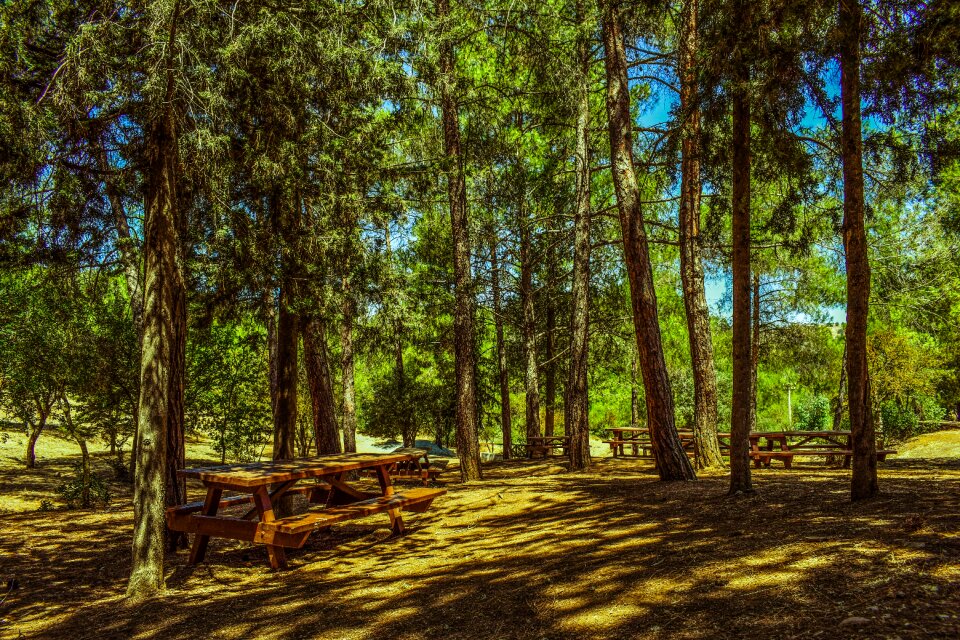 Nature landscape mandri tou kampou