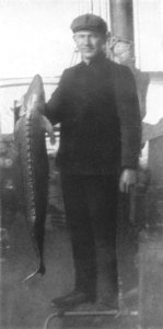 P131c Alexei, the cook, with a sturgeon (Acipenser Baerii)