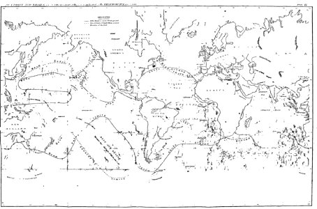 P487 Sea Drift and Whales-Plate XIX