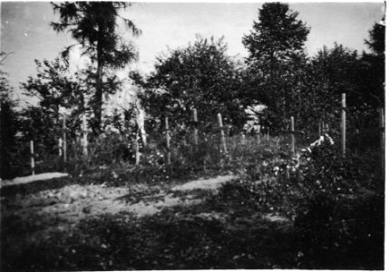 PA - Adam Fischer (Kriegsnachlass) 35