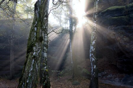 Light mystical autumn photo