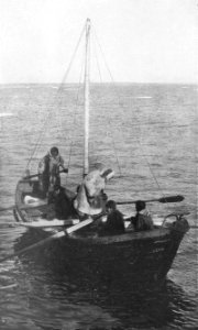 P47 A Samoyede boat under way