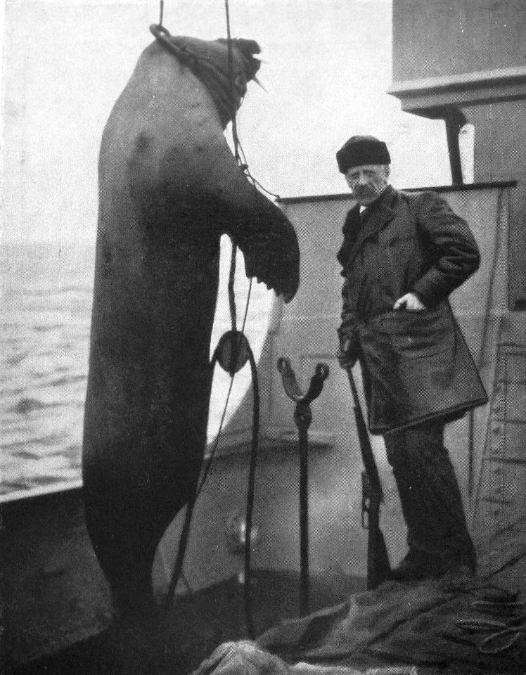 P75a Hoisting our catch on board