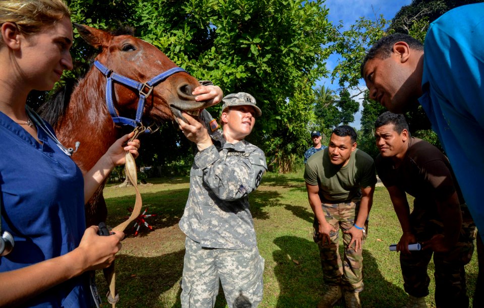 Pacific Partnership 2013 130620-N-GI544-038