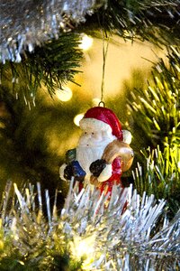 Pine decoration branch