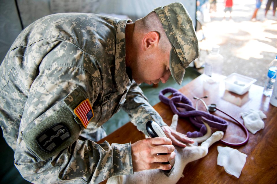Pacific Partnership holds a veterinary clinic at Vudal, Papua New Guinea 150706-N-BK290-264