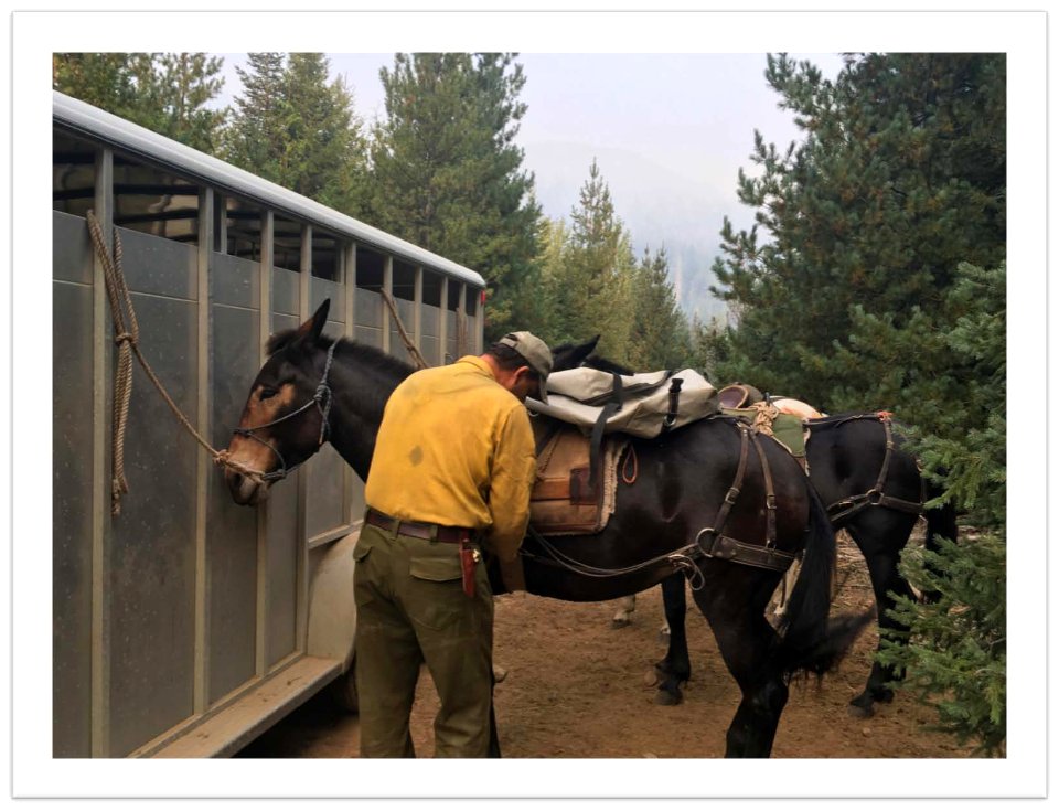Packer Mike readies his string for a trip (40442357381)