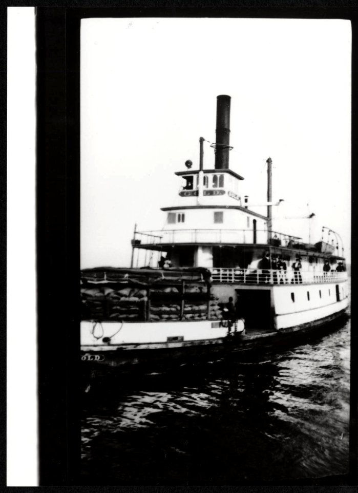 Paddle steamer Steamer Gold
