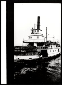Paddle steamer Steamer Gold