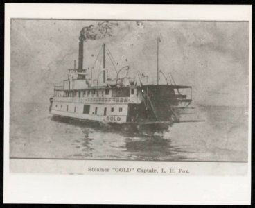 Paddle steamer Steamer GoldPaddl - P15763coll2 14679 large