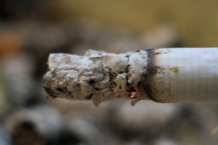 Close up cigarette ash