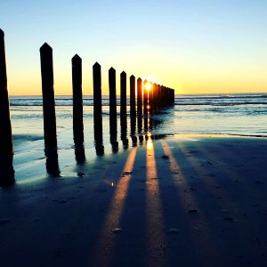 Padre Island National Seashore sunrise - 47006411324