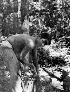 Närheten R.Curumbiara, bifl.t.Guaporé, Brasilien - SMVK - 005766