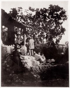 Nègre, Charles - Arbeitender Müller (Zeno Fotografie)