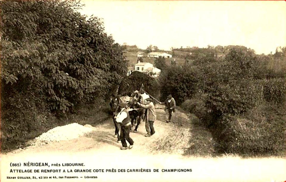 Nérigean - la grande cote