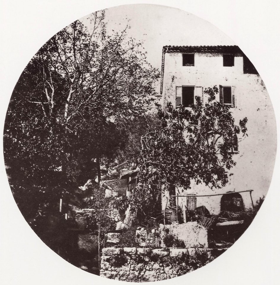 Nègre, Charles - Mühle und Feigenbaum (Zeno Fotografie)