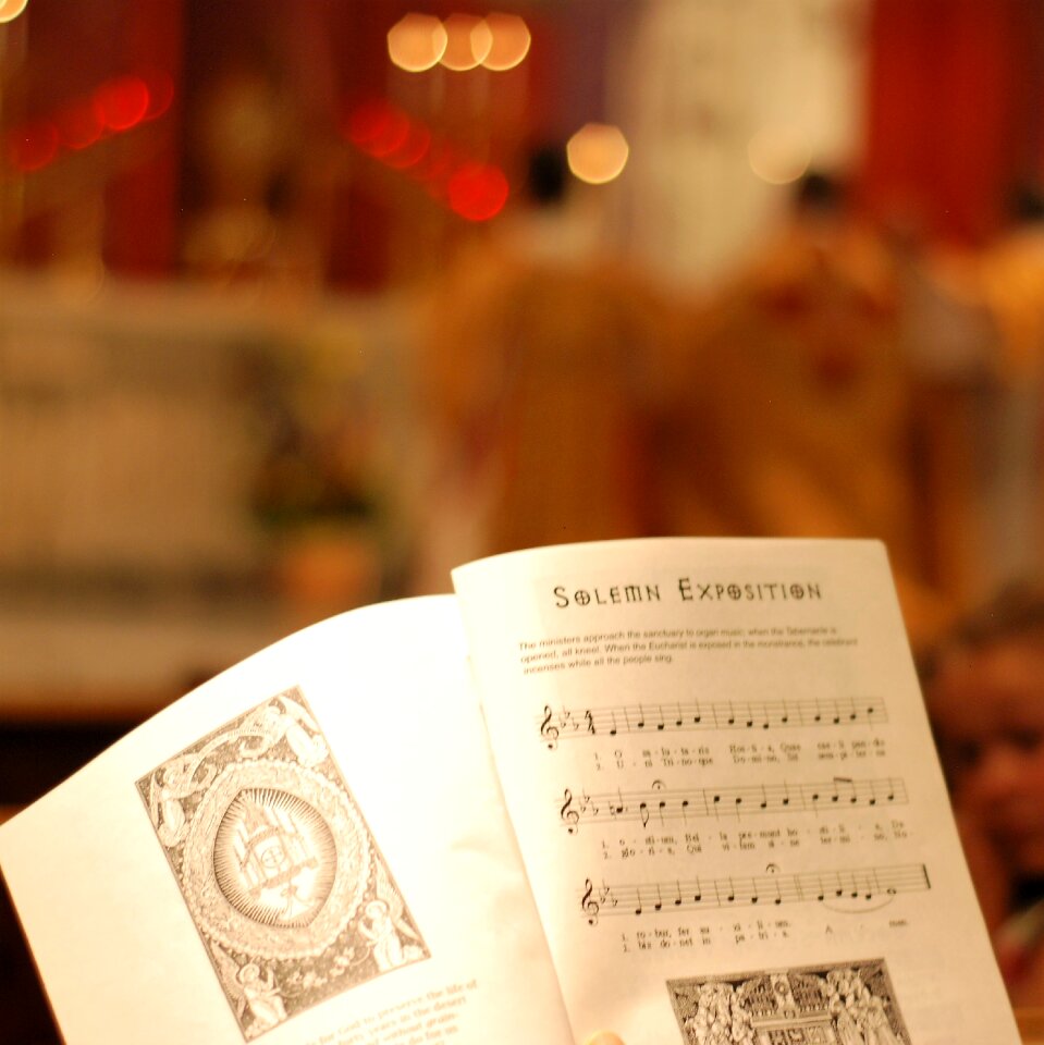 Cathedral pray brown pray