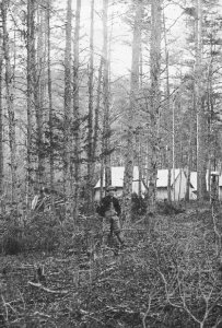 O'Sullivan, Timothy H. - Culpeper, Virginia, Lager im Wald (Zeno Fotografie) photo