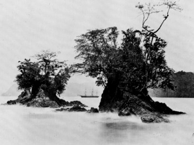 O'Sullivan, Timothy H. - »Die Nipsic« in der Limón Bucht (Zeno Fotografie)