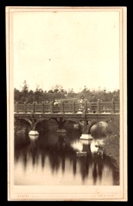 Oak bridge at Bank Rock Bay, Central Park, New York City, N.Y.) - Stacy 691 B'way LCCN2016653315