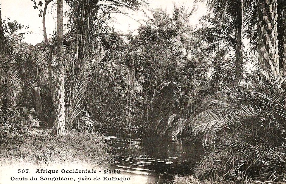 Oasis du Sangalcam, près de Rufisque (AOF)