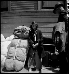 Oakland, California. Young evacuee of Japanese ancestry guarding the family belongings near the War . . . - NARA - 537889