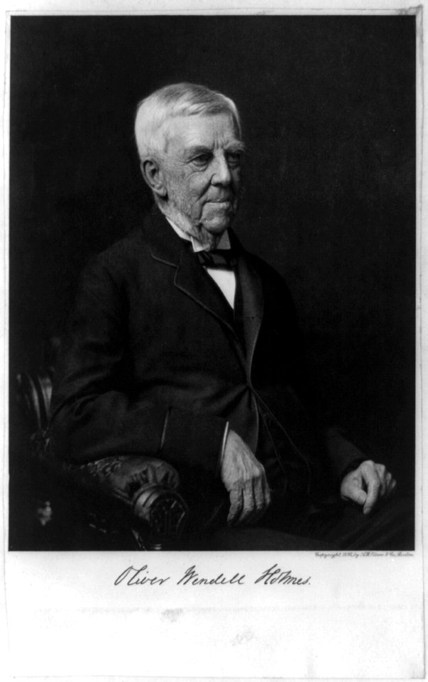 Oliver Wendell Holmes, 1809-1894 LCCN2003653451