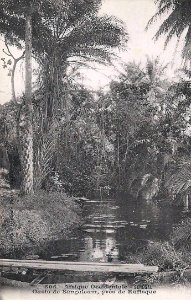 Oasis de Sangalcam, près de Rufisque (AOF) (2)