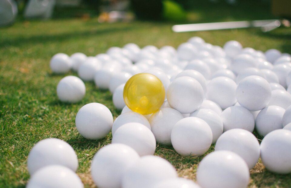 Small yellow white