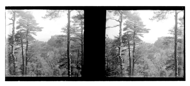 Obaga de la serra i Santuari de Queralt (Vdr-24 92)