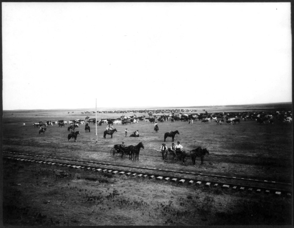 Obedient horses LCCN2005686613