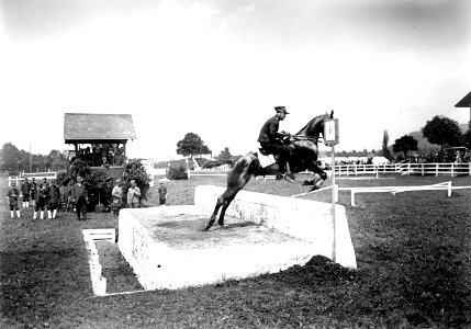Oberleutnant Bucker beim Piano - CH-BAR - 3239770