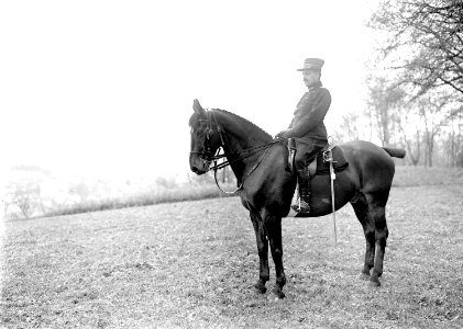 Oberleutnant Casserini zu Pferd - CH-BAR - 3240462