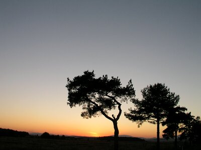 Sunset orava vistas