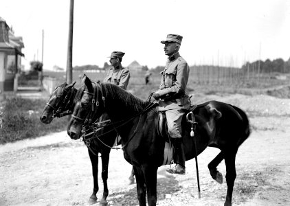 Oberst Ruffieux und Oberstleutnant Curchod - CH-BAR - 3240493