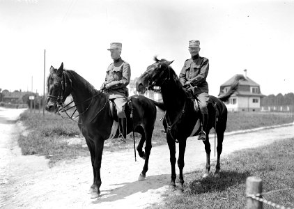 Oberst Ruffieux und Oberstleutnant Curchod - CH-BAR - 3240495