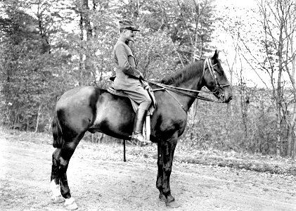 Oberstleutnant Eggenberg zu Pferd - CH-BAR - 3240464