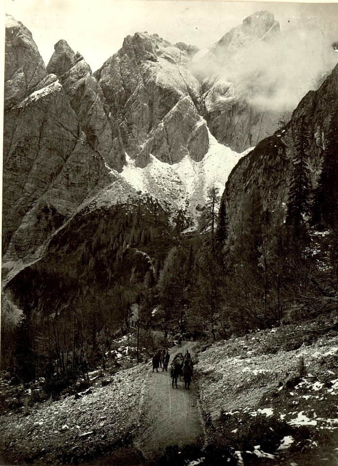 Oberster Teil des Fahrweges mit dem Schwalbenspitzl. (BildID 15460811)