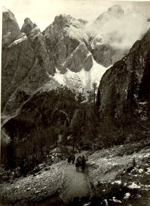 Oberster Teil des Fahrweges mit dem Schwalbenspitzl. (BildID 15460811)